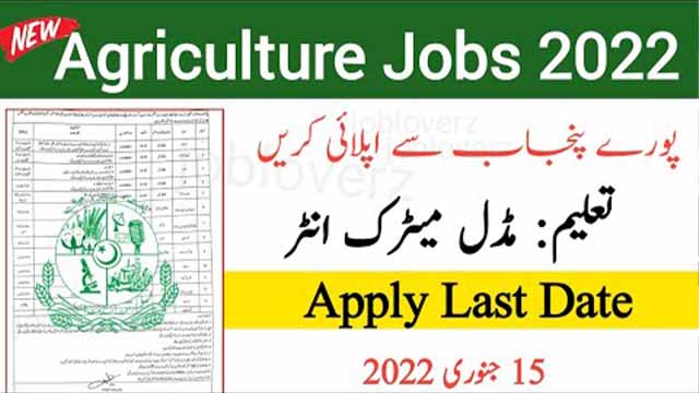 Agriculture Extension Department Swat Jobs 2022